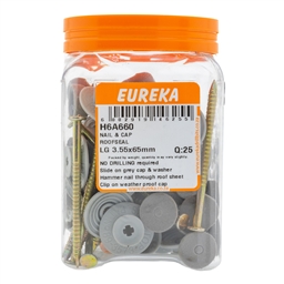 H6A660 - Roof Nail & Cap